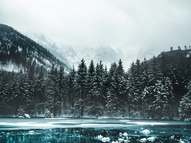 Weihnachten Neujahr 2025 /2026